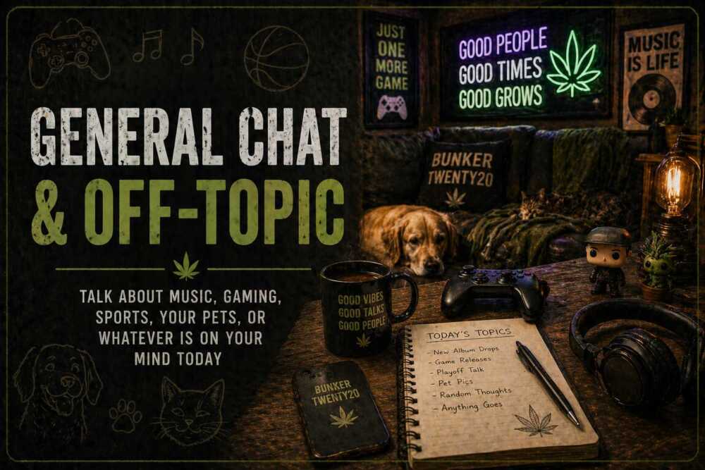 General Chat & Off-Topic