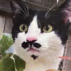 Profile photo of beamon0328